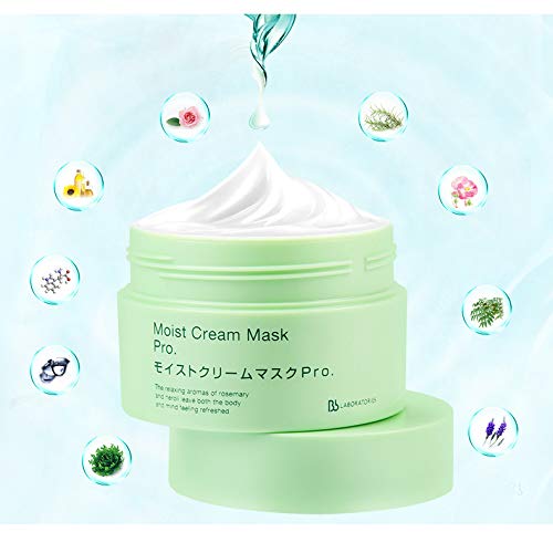 Amazon.com : Moisturizing Anti-Wrinkle BB Laboratories Moist Cream